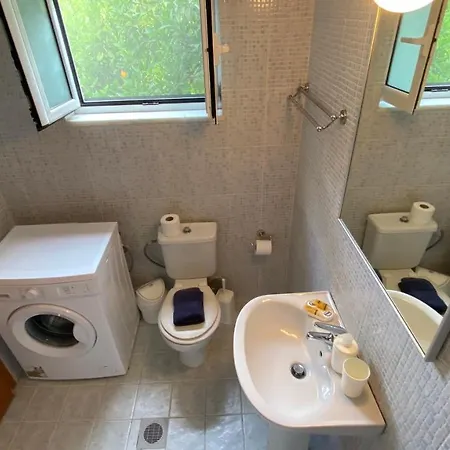 Palm Tree Appartement *