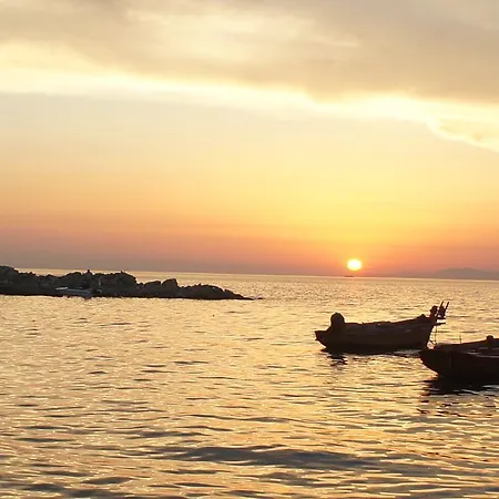 Appartement Palm Tree