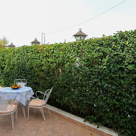 Palm Tree Appartement *