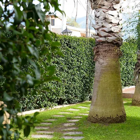 Appartement Palm Tree Patras