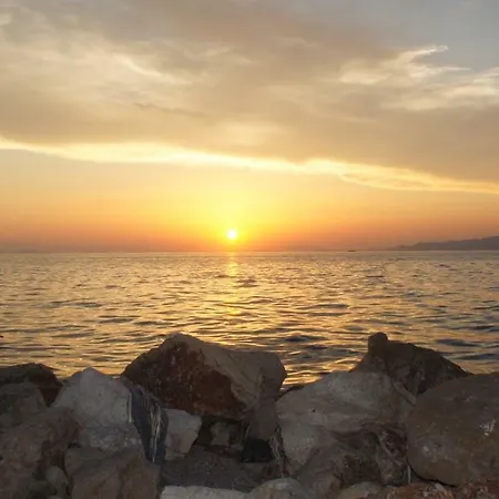 Palm Tree Appartement