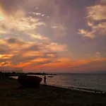 公寓 Palm Tree 帕特雷