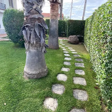 Palm Tree דירה *