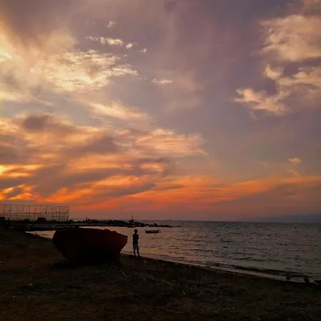 Apartamento Palm Tree Patras