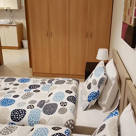 Apartament Palm Tree *