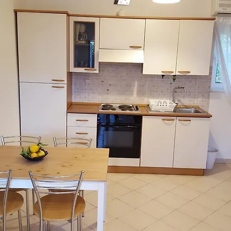 Apartament Palm Tree *