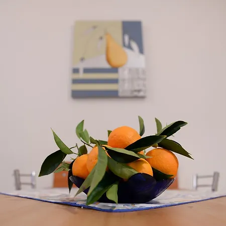 Daire Palm Tree Patras