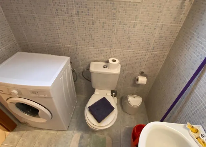 Palm Tree Патра