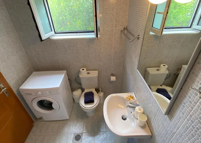 Palm Tree Appartement *