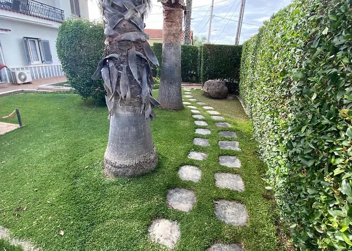 Palm Tree Апартаменты *