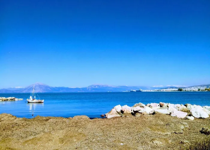 Palm Tree * Патра