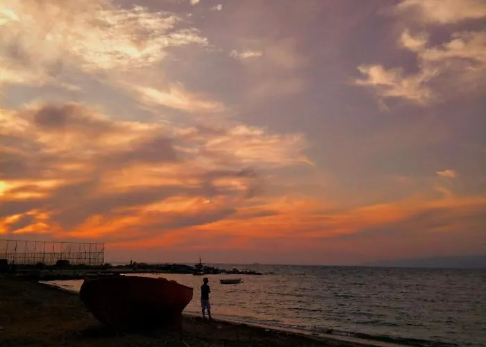 Апартаменты Palm Tree Патра