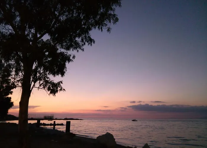 Appartement Palm Tree *