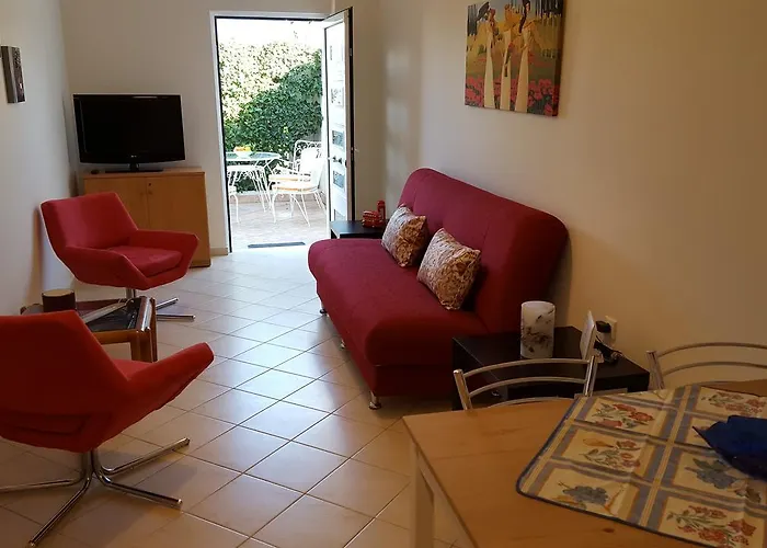 Palm Tree * Патра