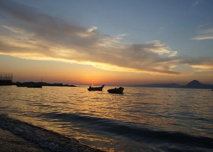 Palm Tree Патра