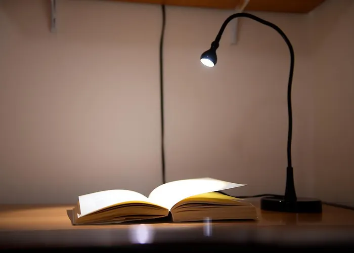 Palm Tree Апартаменты