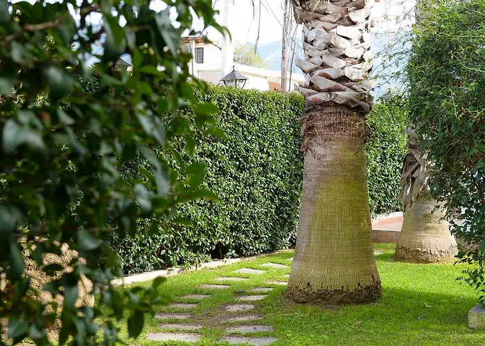 Appartement Palm Tree Patras