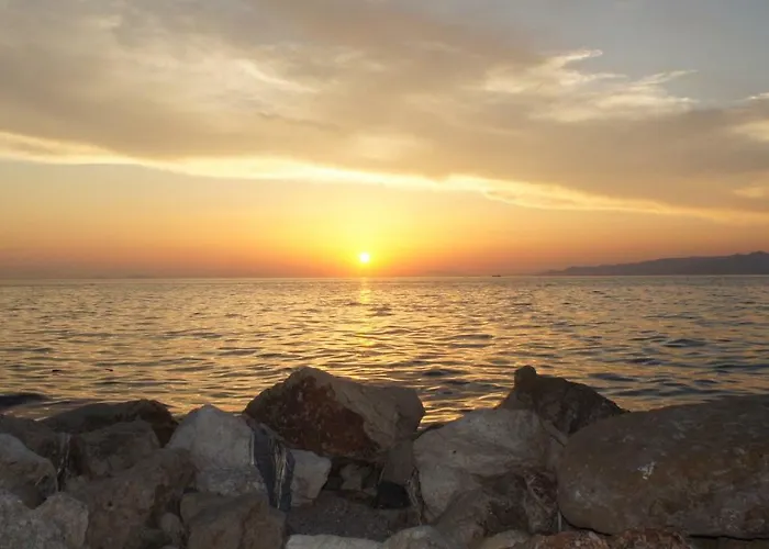 Palm Tree Appartement